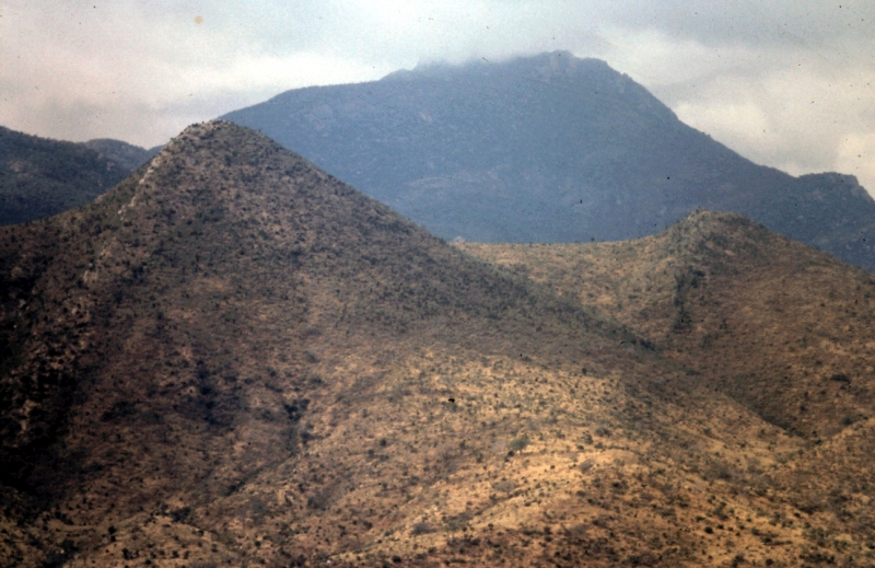 amboseli r paysage b