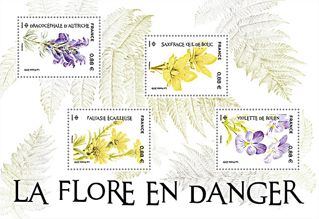 La-flore-en-danger