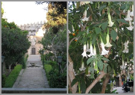 Oudayas jardins