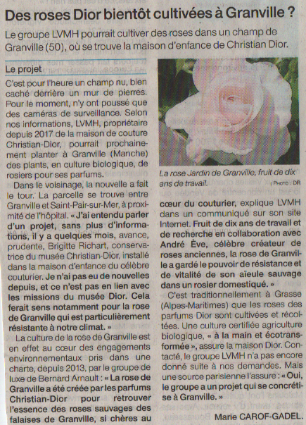 rosedior
