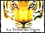 tigre