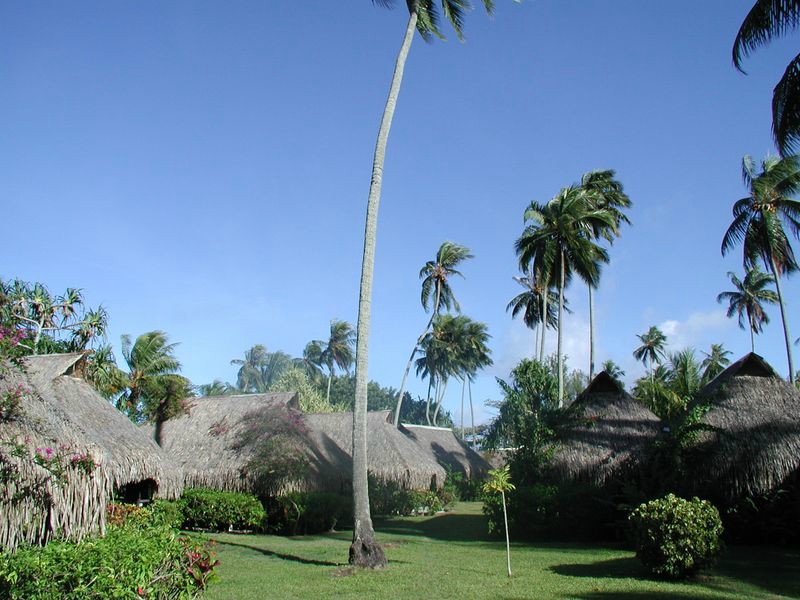 TAHI_018