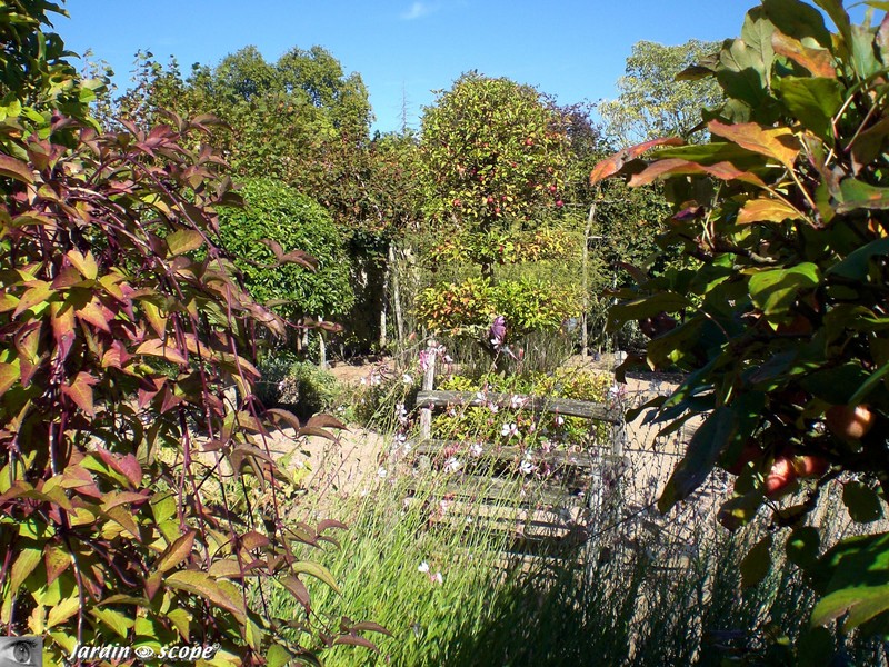 Banc en châtaigier du Cloître des Simples du Château d'Ainay-le-