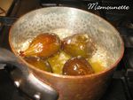 Canette_de_Noirmoutier_009