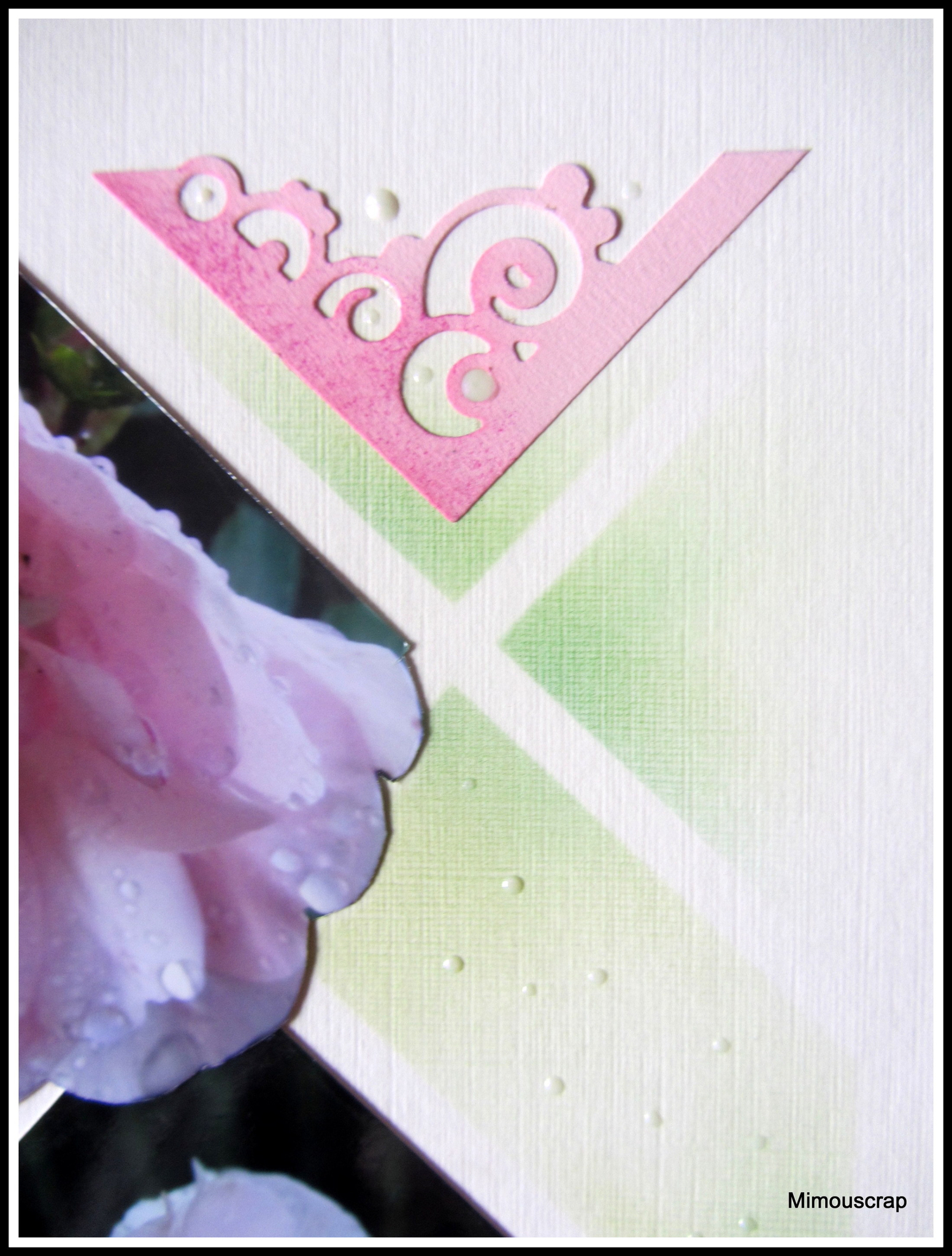 Jardin 2016 066