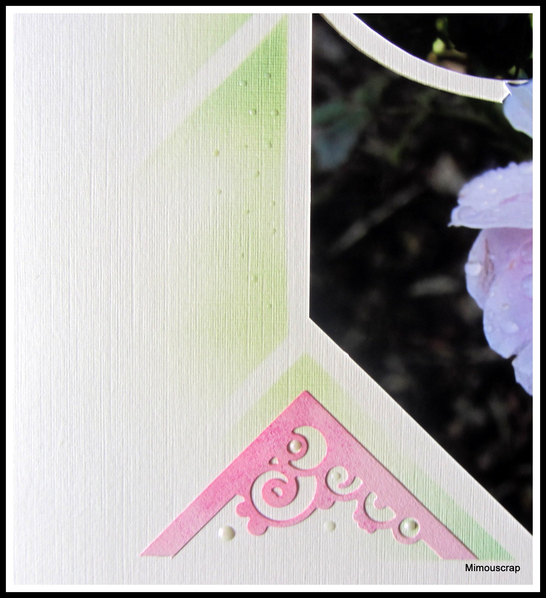 Jardin 2016 065