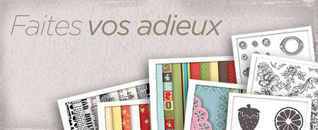 LastChance_LP_b1_header_FR