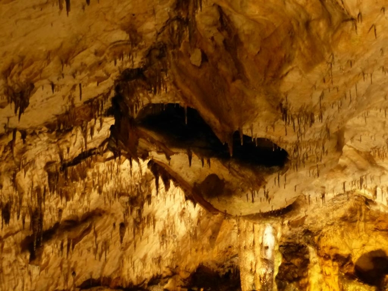 P1200809