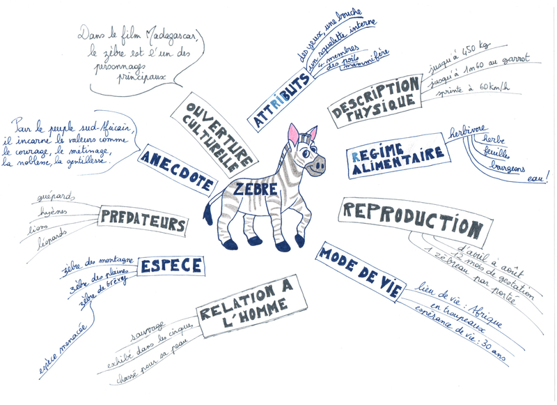 carte mentale du zèbre 001