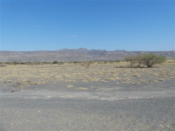 P1150254
