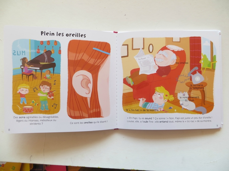 Les 5 sens