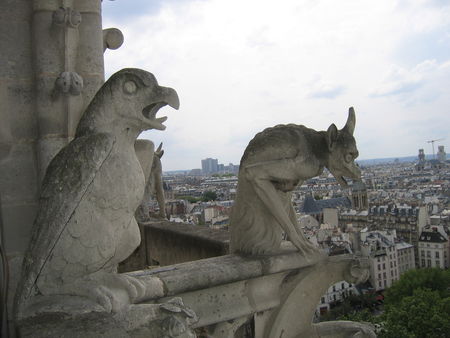 notre_dame_017