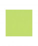 papier-uni-scrapbooking-carterie-vaessen-pistachio