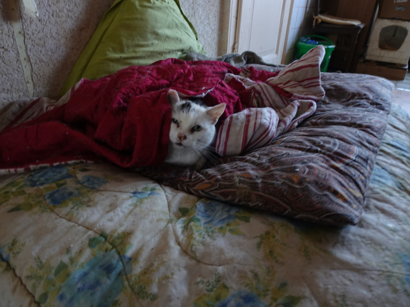 DSC00071