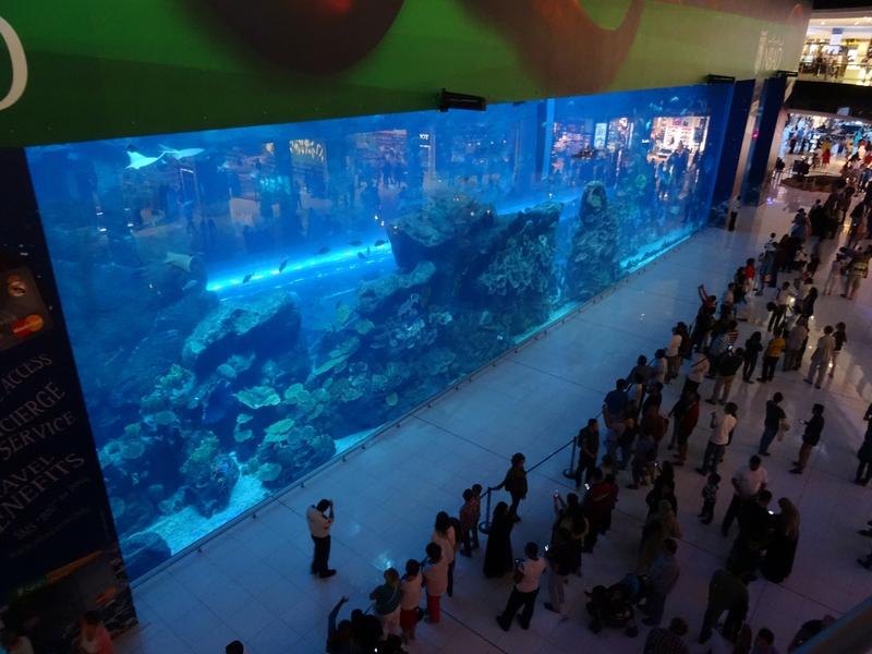 La grande baie vitrée de l'aquarium du Dubai Mall