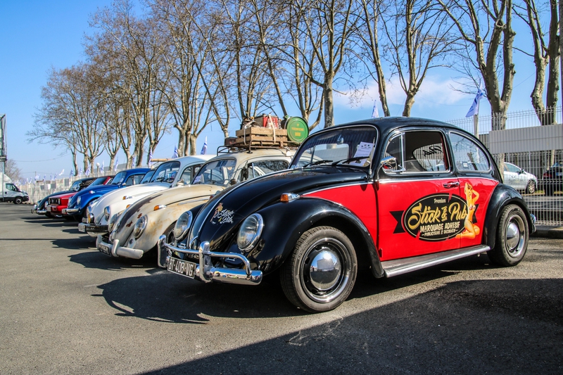 Quelques-unes des Coccinelle présentes aujourd'hui