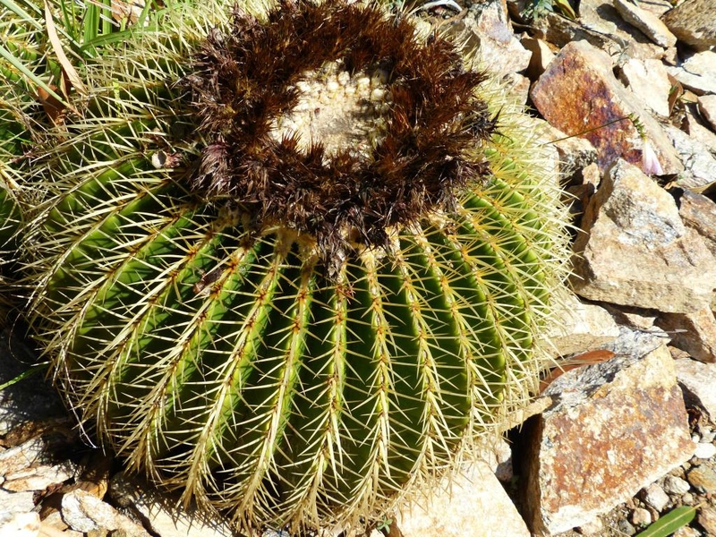 P1200033