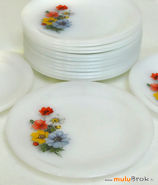 ASSIETTES-ARCOPAL-FLEURS-4-muluBrok-Vintage