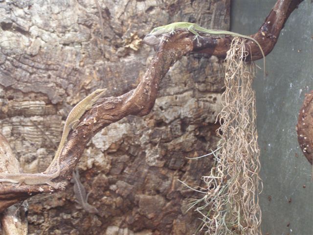 20juin2008 182