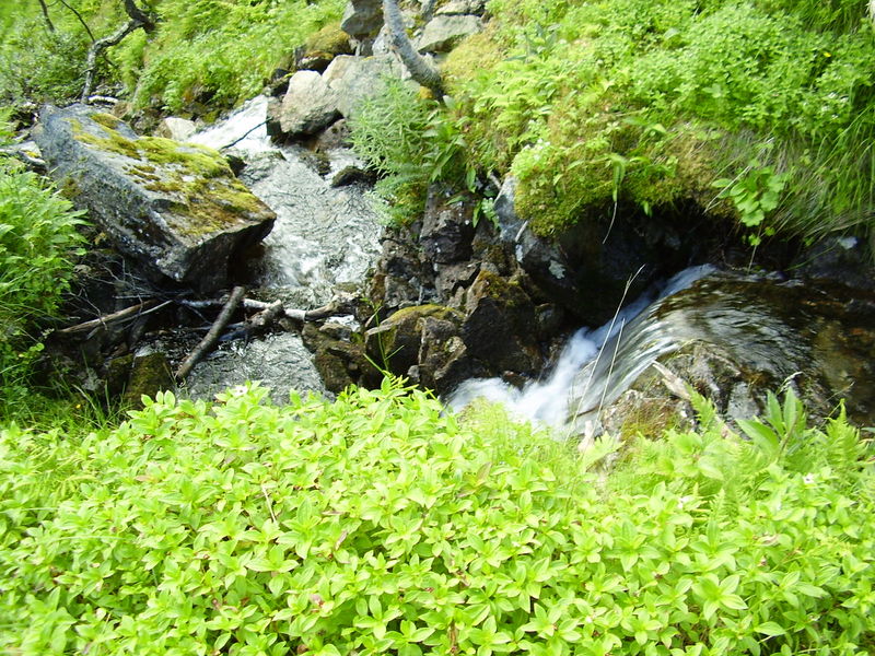 10-08-08 Grotfjord (88)