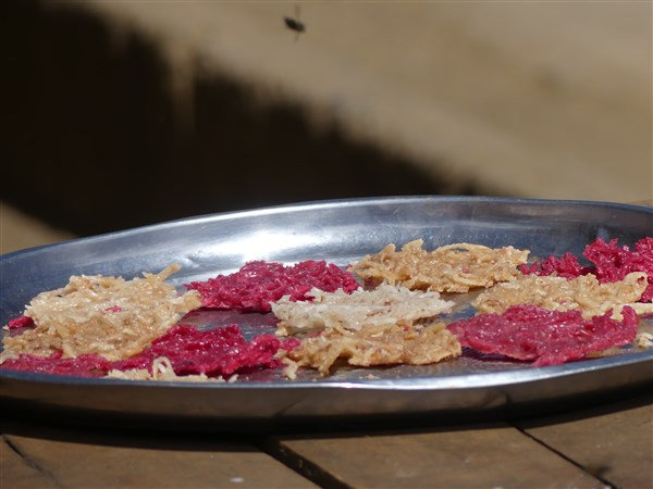 P1130803