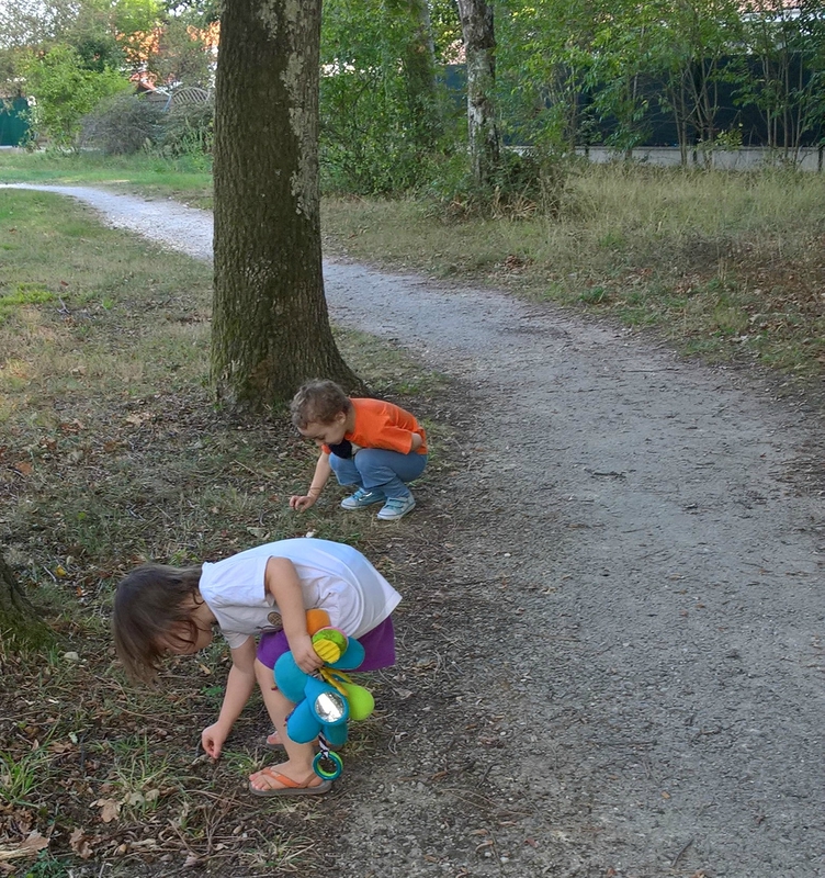 WP_20160924_18_05_16_Rich (2)