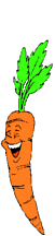 carottes006