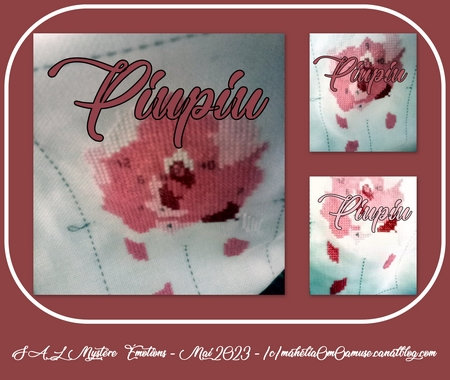 piupiu QB_emotions_salmai23_col5