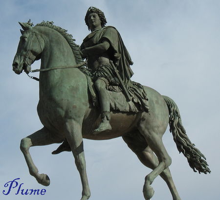 Plume_cheval_Louis_XIV