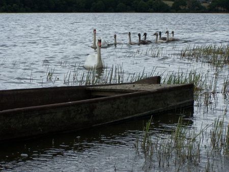 Lac de Vioreau -La Demenure