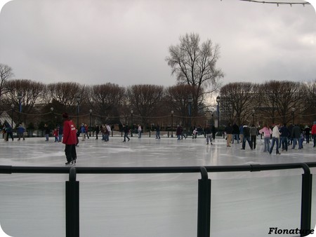 patinoire_2