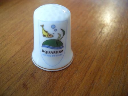 cadeaux Léa dé aquarium 008