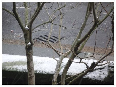 snow