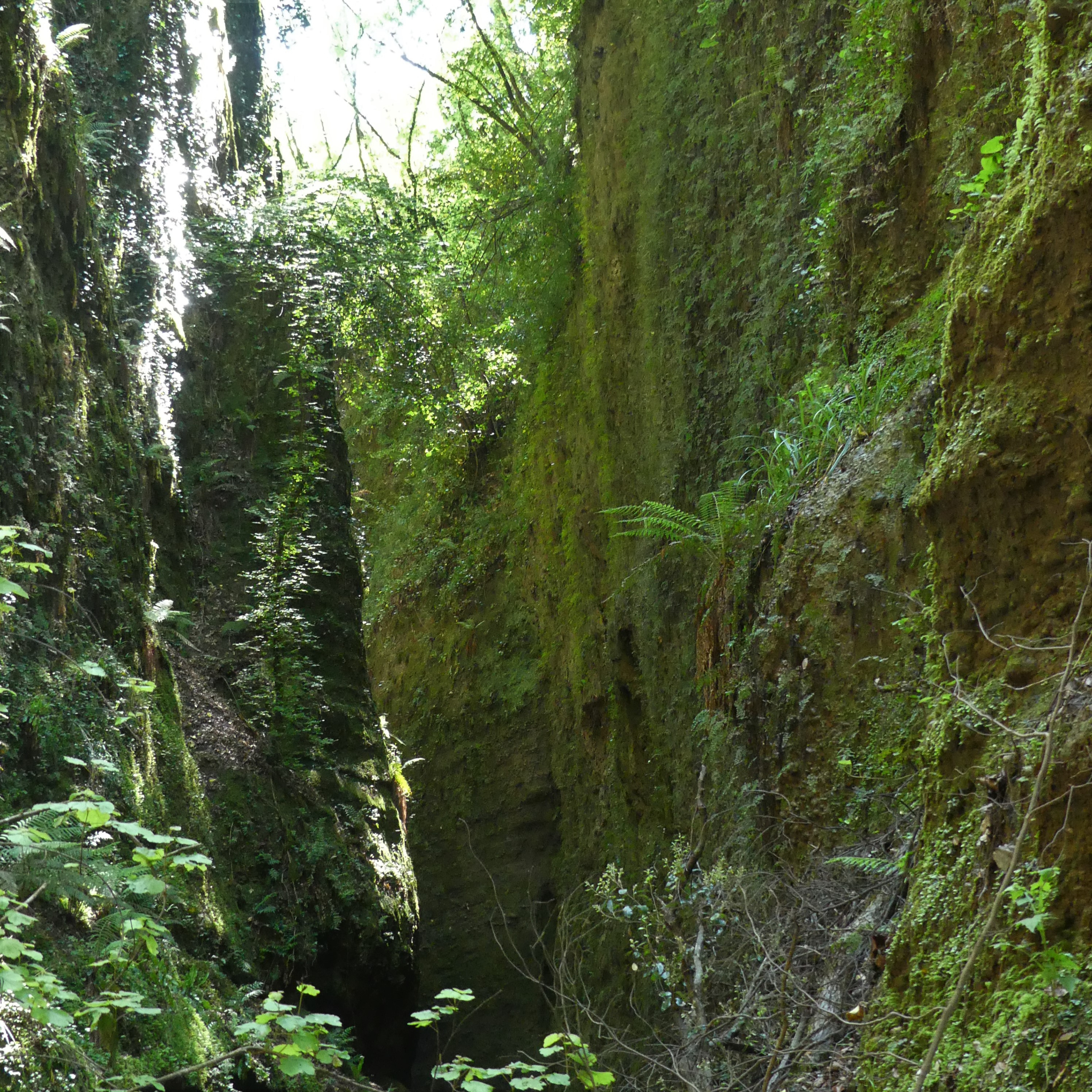 P1120745 (2)