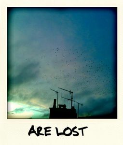 are_lost