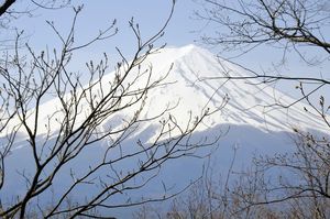blog_fu9
