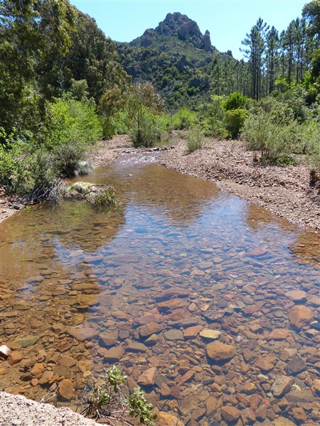 P1010187
