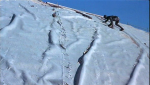 vlcsnap_2010_01_13_19h29m29s98