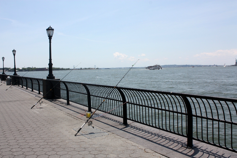 J2 - 29 juin 2014 - Battery Park et Hudson Park (15)