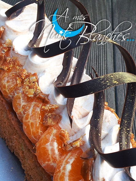 TARTE-CLEMENTINES-15