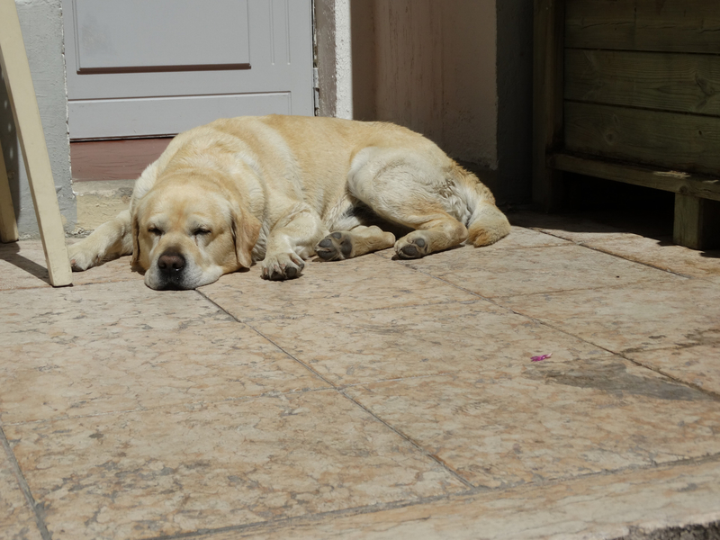 lourmarin mai 2014 061