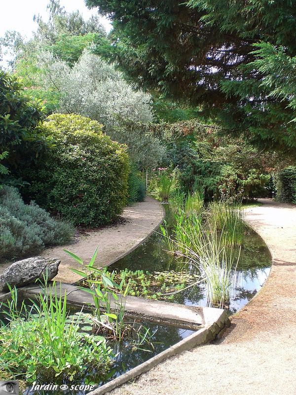 Jardin d'eau