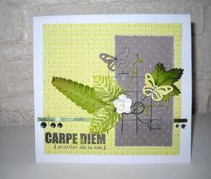 SandyDub_carte_carpe_diem