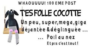 100_folle_cocotte