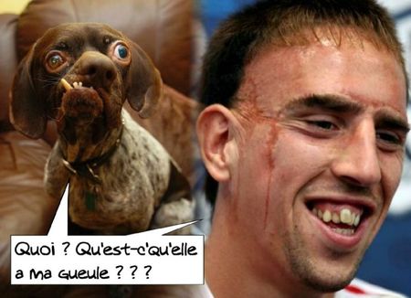 chien et ribery