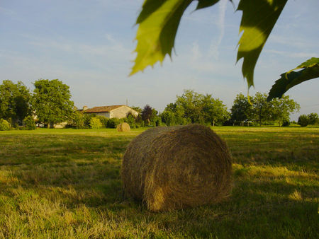 dsc00010
