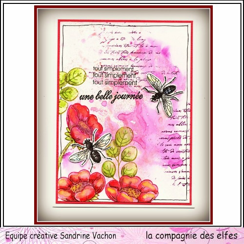 Carte insecte UNE BELLE JOURNEE DT LCDE (1)