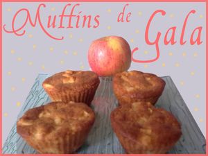 muffins_gala_1