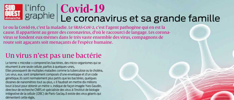 2020 03 22 SO Le coronavirus et sa grande famille
