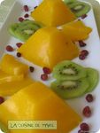 Terrine_de_mangue_5